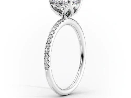 The Pave Alison