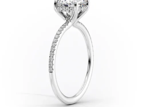 The Pave Sarah