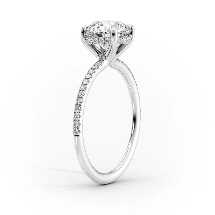 The Pave Sarah
